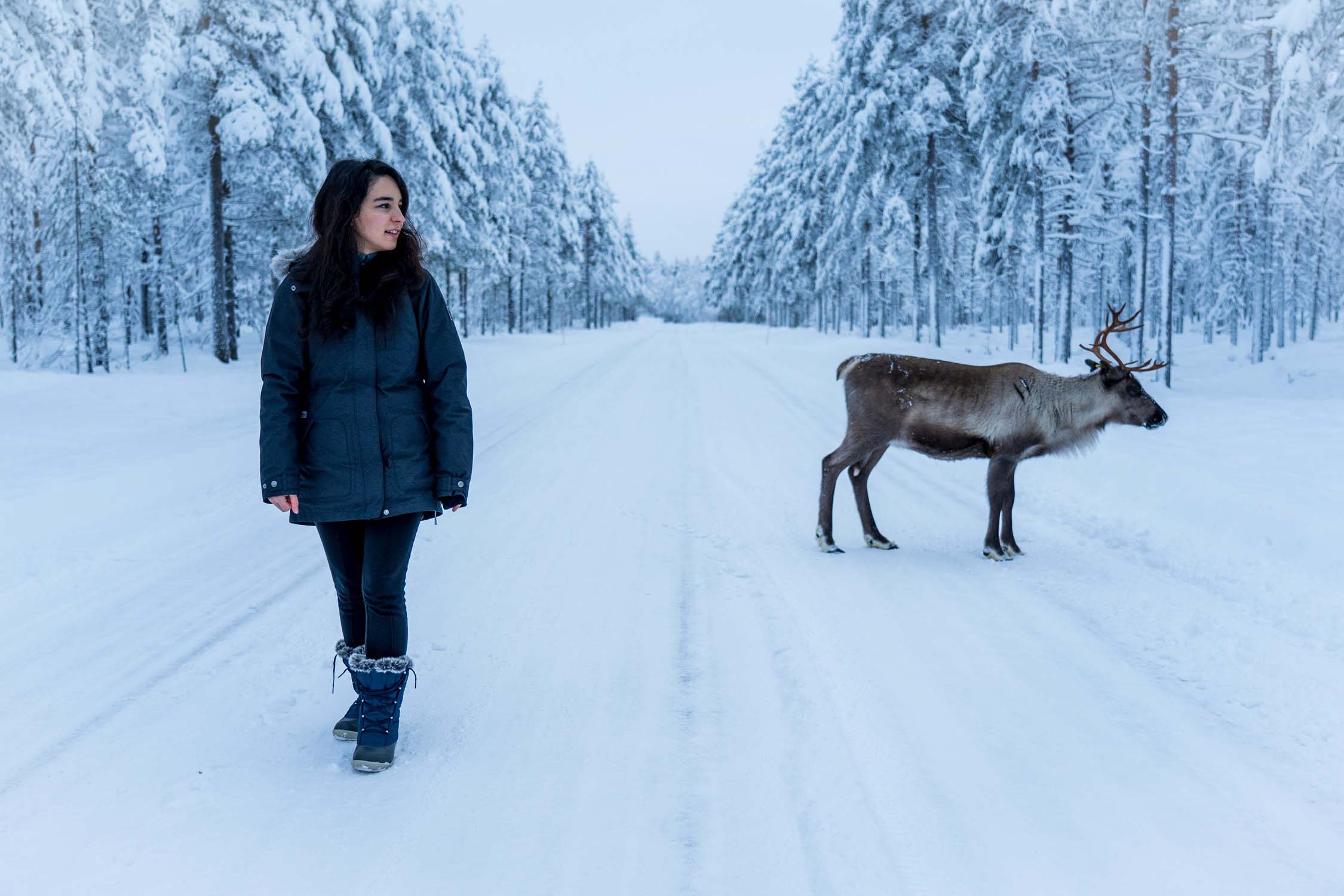 ivalo-lapland-ivalo